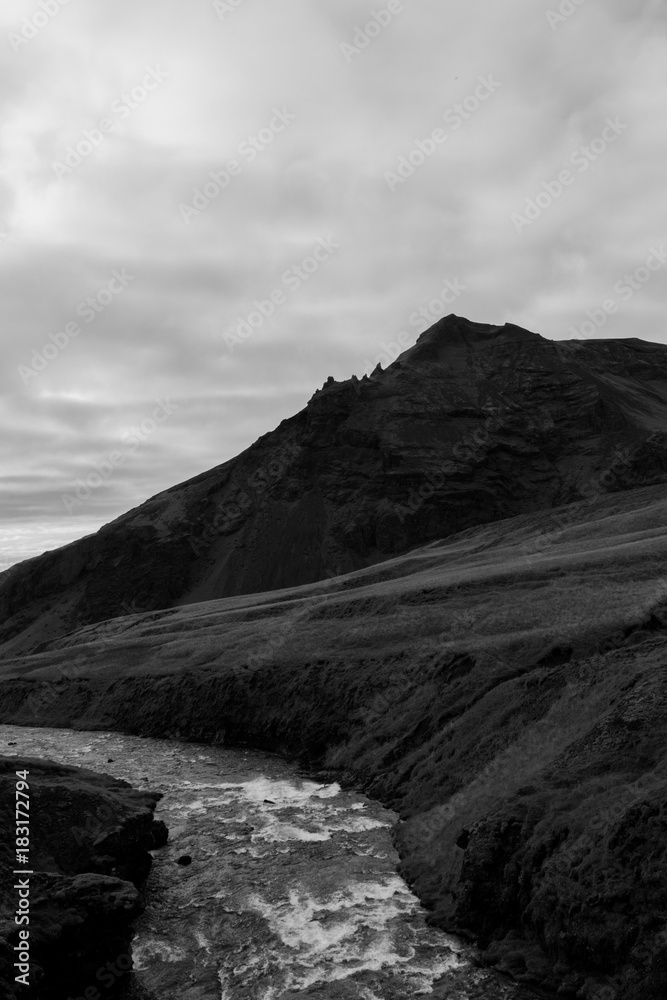 Obraz premium into the wild