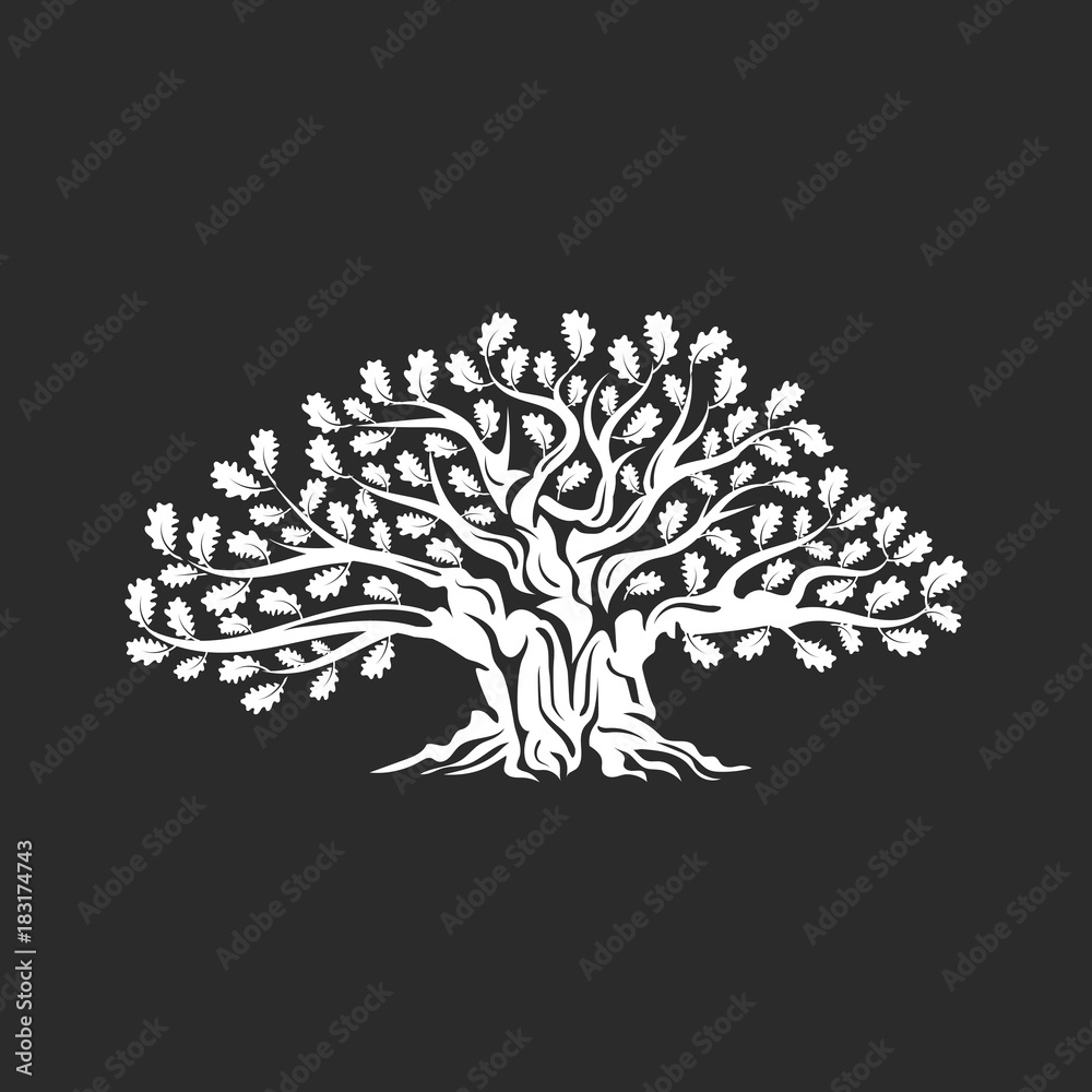 Obraz premium Huge and sacred oak tree silhouette logo badge isolated on dark background. Modern vector national tradition green plant icon sign design. Premium quality organic logotype flat emblem illustration.