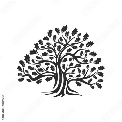 Huge and sacred oak tree silhouette logo badge isolated on white background. Modern vector national tradition green plant icon sign design. 
Premium quality organic logotype flat emblem illustration.