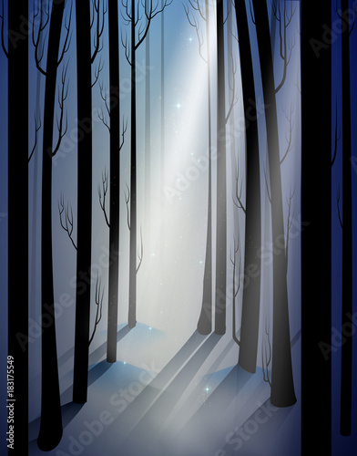 deep fairy frosty winter forest with mistery light beam, shadows, fairy winter woods,