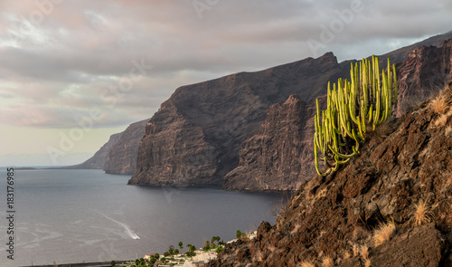 Obraz na płótnie Los Gigantes, Tenerife, Canary Islands, Spain. w salonie