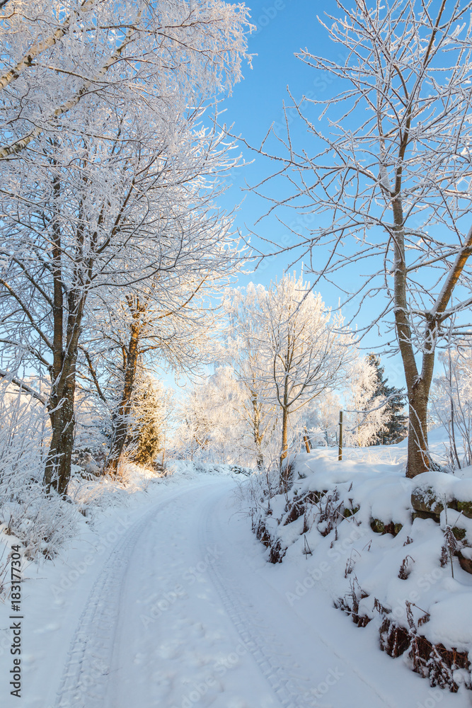 Obraz premium Idyllic winter landscape with a road