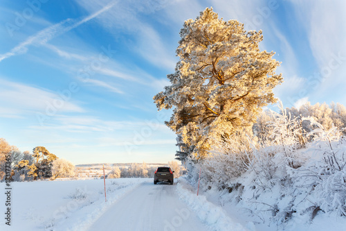 Car on a winter road with snow in the countryside photo