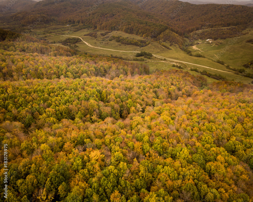 Obraz premium Autumn is here