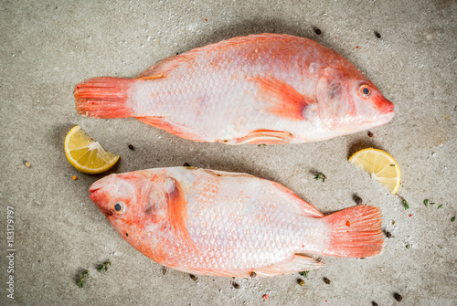 Fresh raw fish pink tilapia with spices for cooking - lemon, salt, pepper, herbs, on gray stone table, copy space