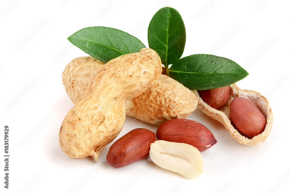 peanuts with leaf isolated on white background peanuts with leaf isolated on white background