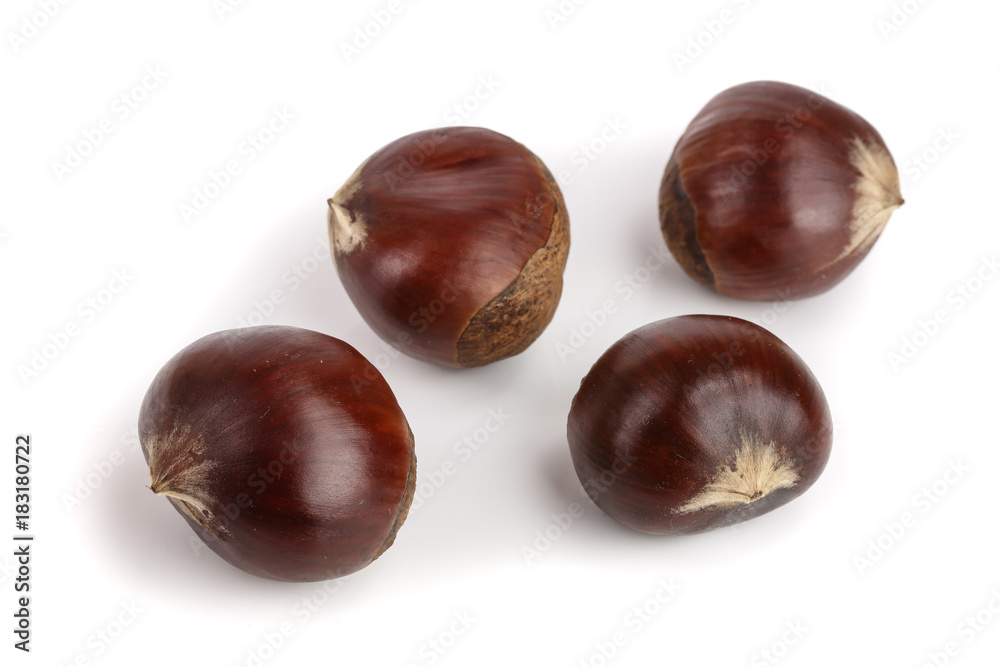 sweet chestnut isolated on white background sweet chestnut isolated on white background