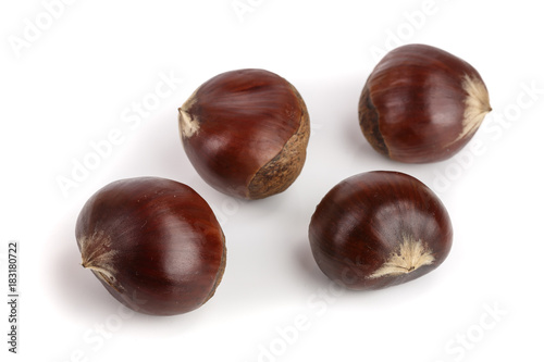 sweet chestnut isolated on white background