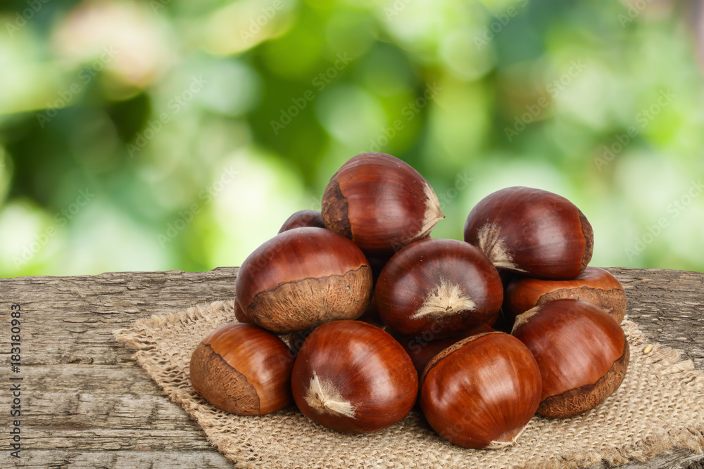 chestnut on the old wooden table with blurred garden background chestnut on the old wooden table with blurred garden background