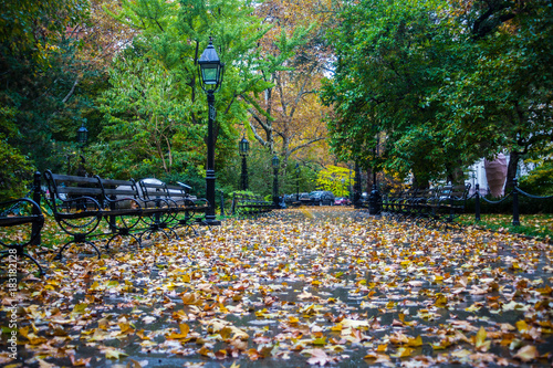 beautiful autumn park with trees of different colors and beautiful European architecture in the center of Manhattan in New York united states