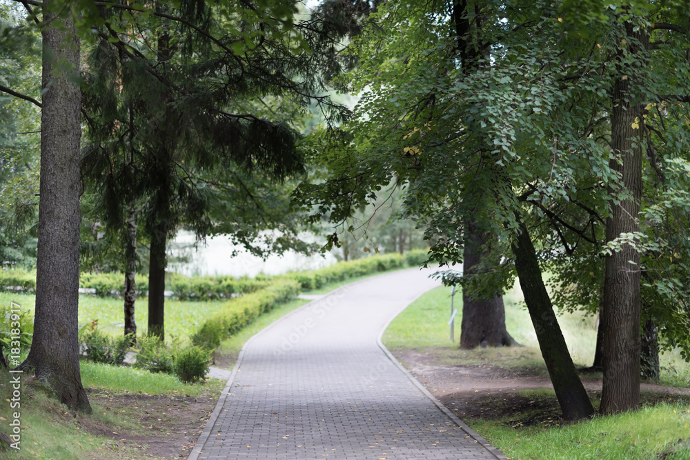 walkpath along the trees at the park walkpath along the trees at the park