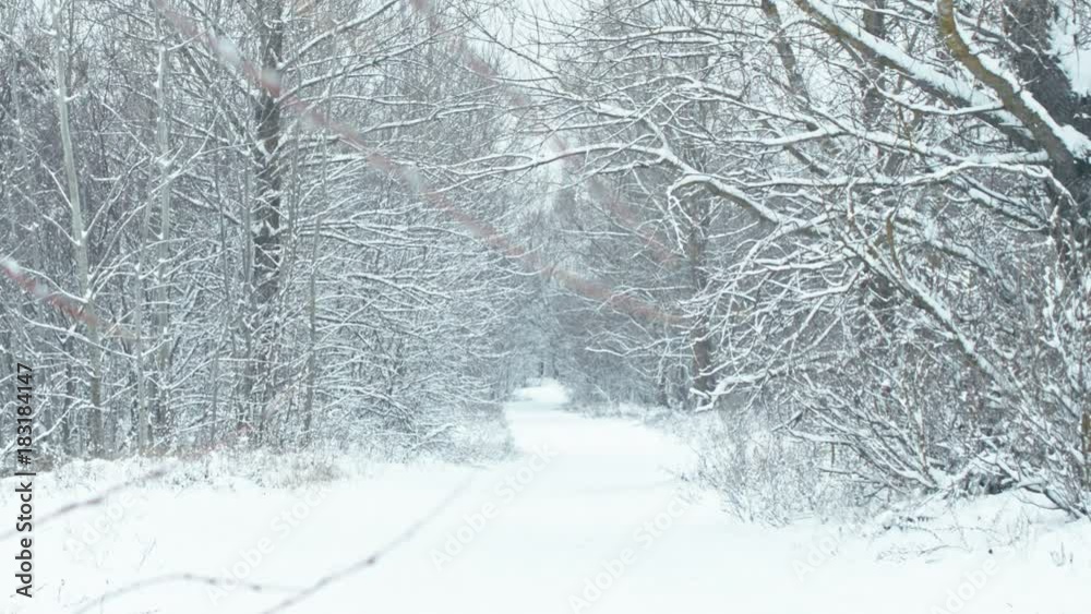 Road through the winter snow-covered forest after a snowfall. Focus transition.
Road through the winter snow-covered forest after a snowfall. Focus transition.