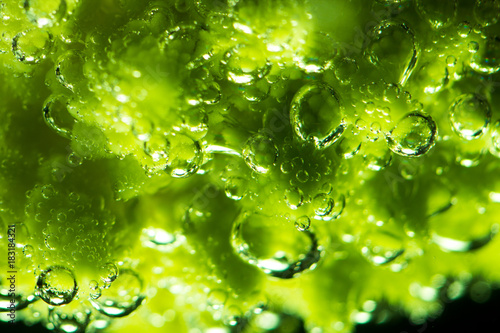 Romanesco vegetable in mineral water with water bubble. Close up macro.