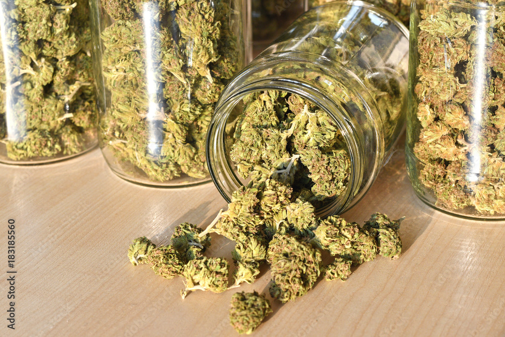 Dry and trimmed cannabis buds stored in a glas jars. Medical cannabis - obrazy, fototapety, plakaty 