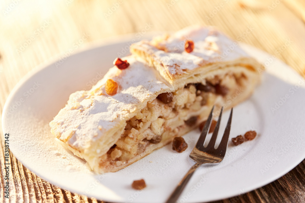 Apfelstrudel with raisins on a plate Apfelstrudel with raisins on a plate