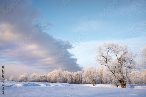 amazing landscape with frozen snow covered trees at sunrise 