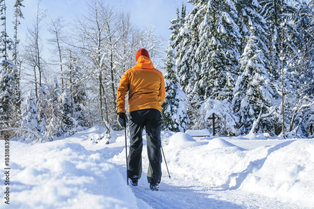 Trendsport Nordic Walking in winterlicher Natur