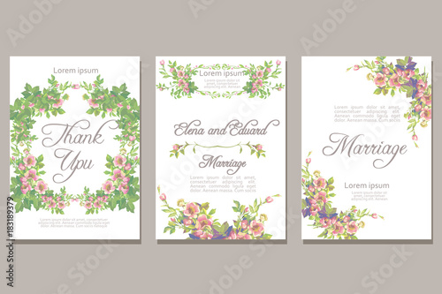 Set of card with vector flower rose leaves. Wedding ornament concept. Floral magazine or poster or invite. Vector layout decorative greeting card or invitation design background
