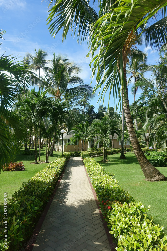 Sidewalk or garden path on a tropical resort
