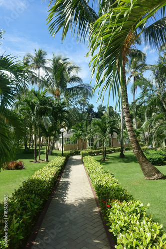 Sidewalk or garden path on a tropical resort © Fotocat4