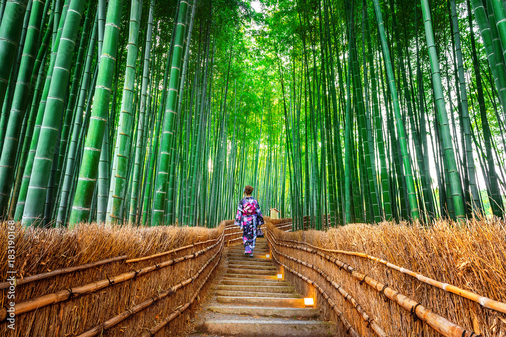 Fototapeta Las Bambusowy. Azjatycka kobieta jest ubranym japońskiego tradycyjnego kimono przy Bambusowym lasem w Kyoto, Japonia.