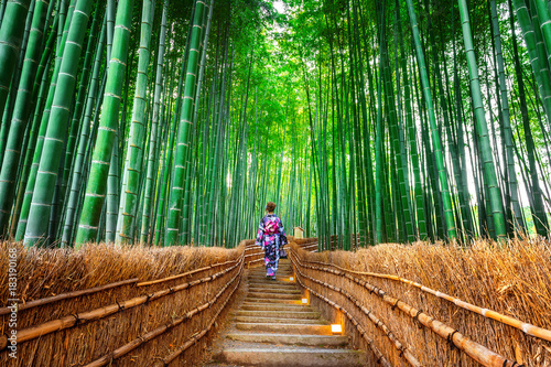 Bamboo Forest. Asian woman wearing japanese traditional kimono at Bamboo Forest in Kyoto, Japan. photo