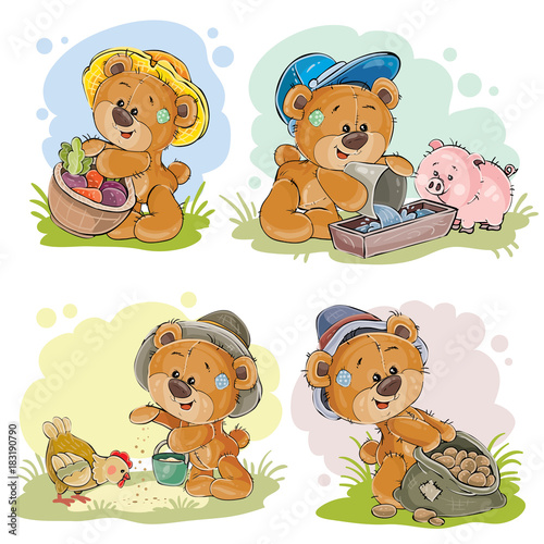 Brown teddy bear farmer, vector cartoon illustration isolated on white background. Toy bear is engaged in agriculture, is growing vegetables and breeding chickens and pigs