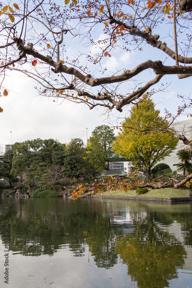Kyu-Yasuda garden in autumn
