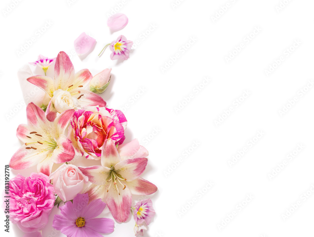 summer flowers on white background