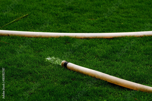 Hose for watering the grass in a sunny dry day. Water pours on the lawn. Inefficient use of resources photo