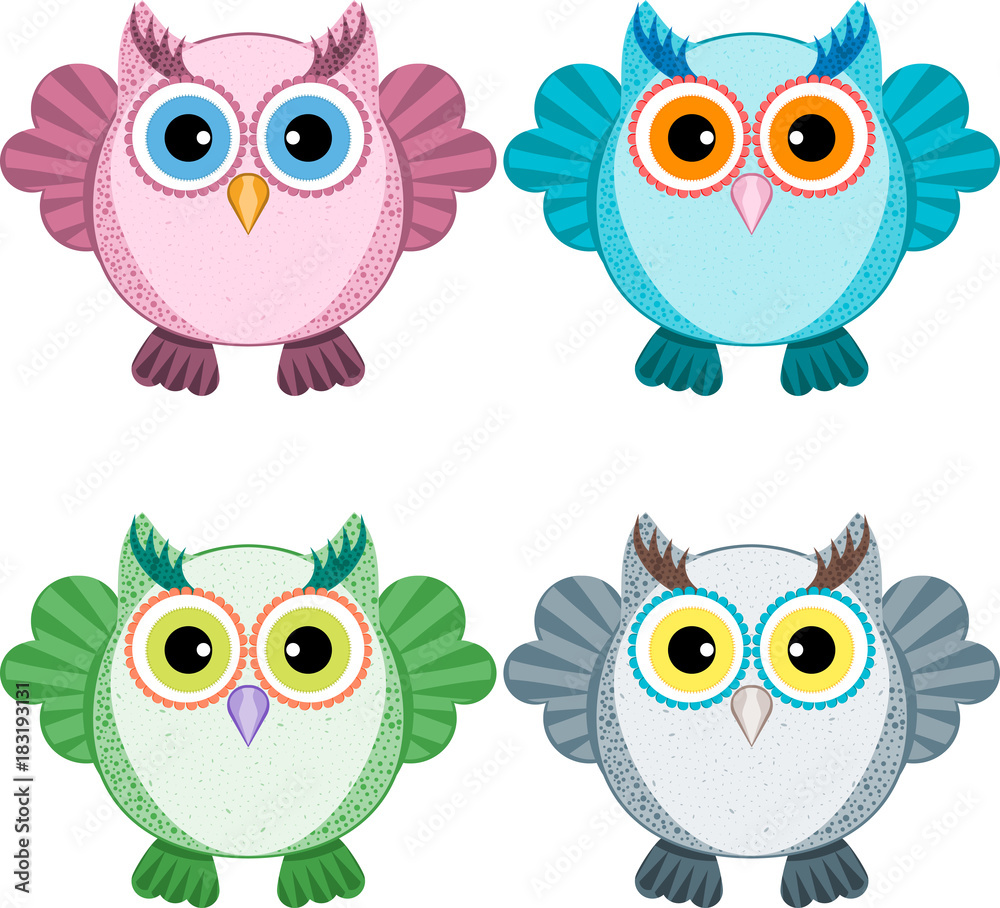 Owl Owl