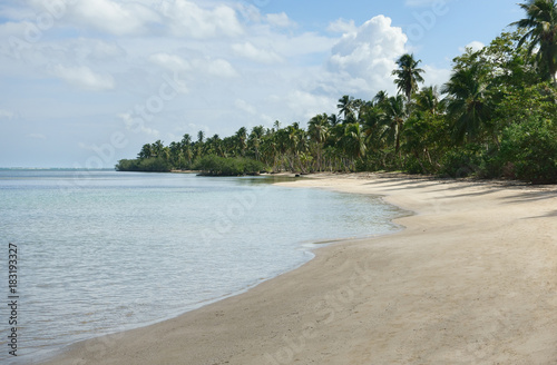 Beautiful natural tropical beach with palm trees, Samana, Dominican Republic