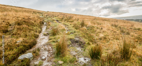 Canvas-taulu Nature scene of the Northern English moors