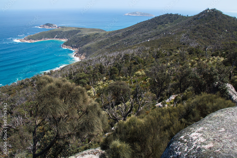 View on Tongue Point from Sparkes Lookout in Wilsons Promontory NP
View on Tongue Point from Sparkes Lookout in Wilsons Promontory NP