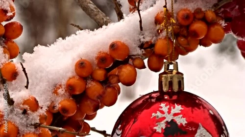 red New Year ball and sea-buckthorn