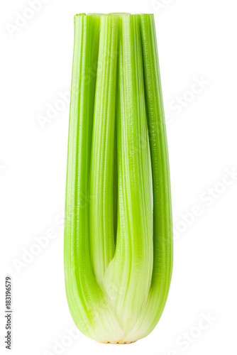 celery isolated on white background, clipping path, full depth o