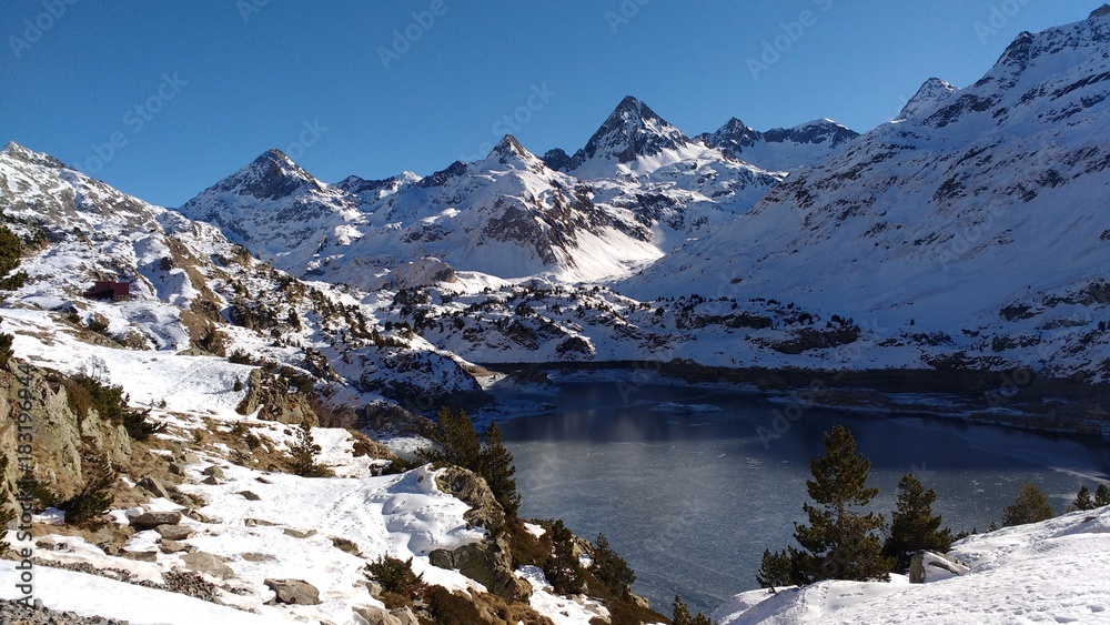 custom made wallpaper toronto digitalTocando el cielo.