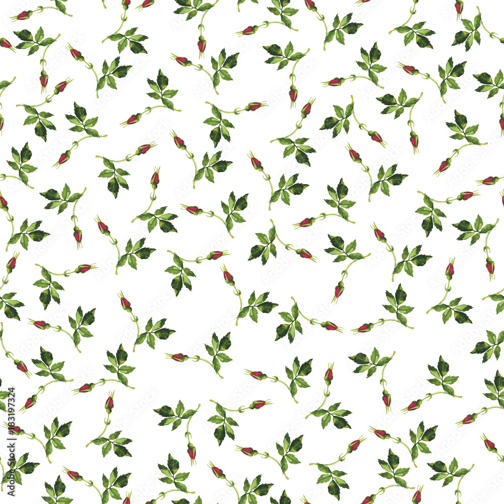 Seamless pattern with wild rose pink buds and leaves on white background. Hand drawn watercolor illustration.
Seamless pattern with wild rose pink buds and leaves on white background. Hand drawn watercolor illustration.