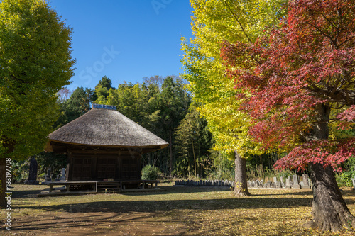 紅葉の秋 神社