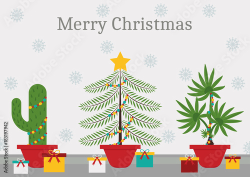 In a christmas time every plant is a christmas tree - a cactus, spruce and a palm tree with christmas decorations and lights
