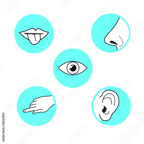 Five senses methods of perception, taste sight touch smell sound vector icon on azure blue circle simple black outline and white illustration mouth with tongue, ear, eye, hand finger, nose