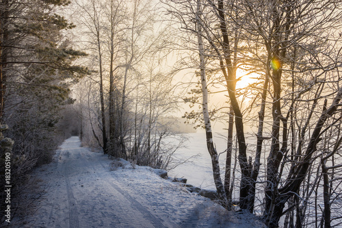 Winter road in the snowy forest © murrrrrs