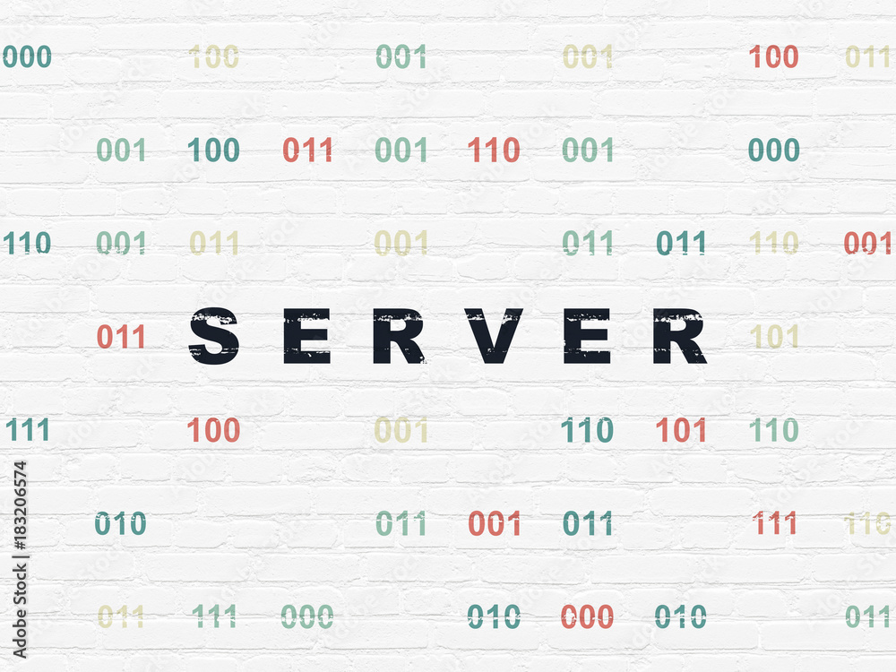 Web development concept: Painted black text Server on White Brick wall background with Binary Code Web development concept: Painted black text Server on White Brick wall background with Binary Code