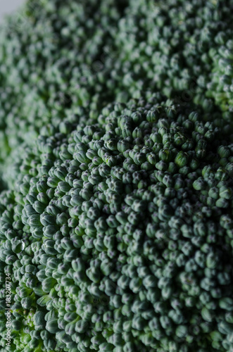 Broccoli Close-Up