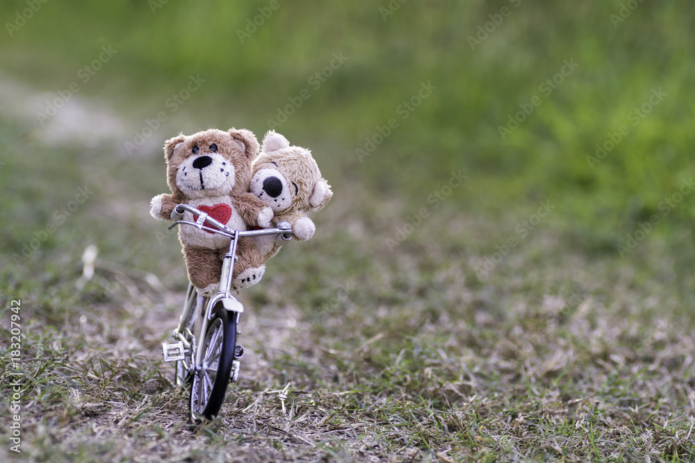 Obraz premium Love bear on a bicycle in the field