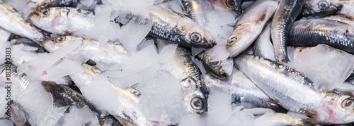 Photography Colorful choice of fish at traditional market in Palermo, Sicily, Italy