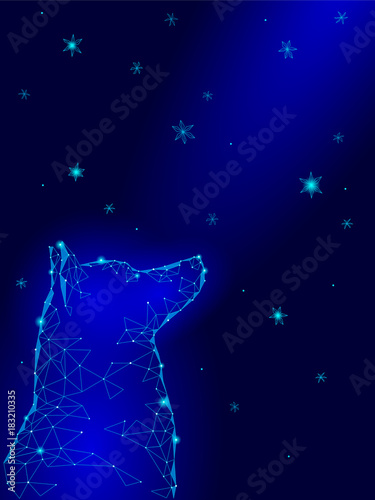 Happy New Chinese Year of dog. Laika sitting looking up sky geometric snowflakes stars night hope dream. Low poly polygonal triangle abstract greeting blue card template. Vector illustration