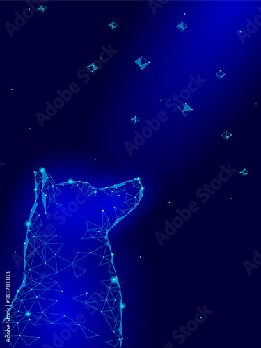 Happy New Chinese Year of dog. Laika sitting looking up sky geometric snowflakes stars night hope dream. Low poly polygonal triangle abstract greeting blue card template. Vector illustration