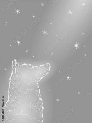 Happy New Chinese Year of dog. Laika sitting looking up sky geometric snowflakes stars night hope dream. Low poly polygonal triangle abstract greeting gray white card template. Vector illustration