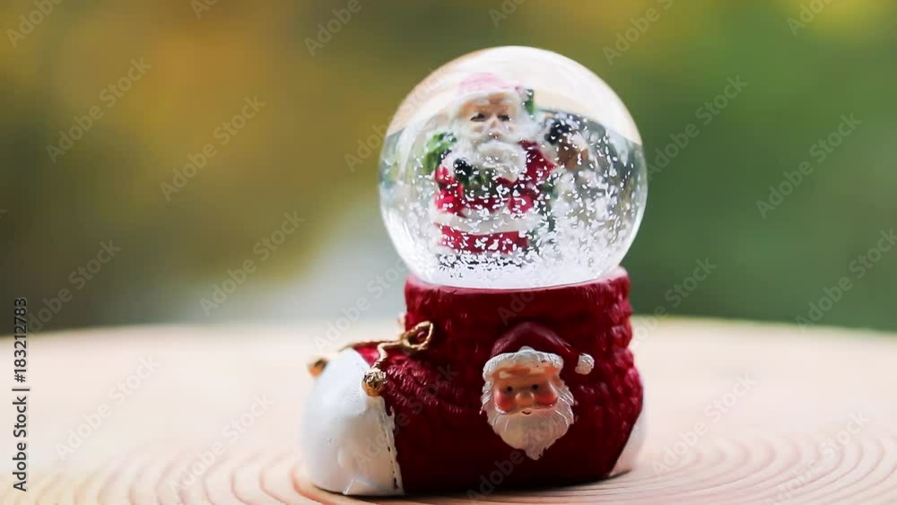 Christmas Snow Globe Snowflake